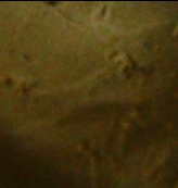 7bcf5494a9973ae19e6ef0b838d5d28f.jpg