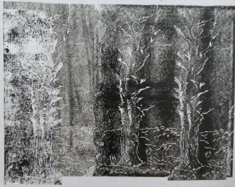 f6e1a721372abea8bc1761e55067035e.JPG