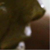29fec3ace17e87b6b87ee42716c7a081.jpg